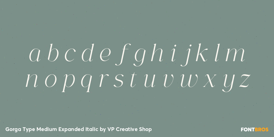 Gorga Type Medium Expanded Italic Font Poster #3