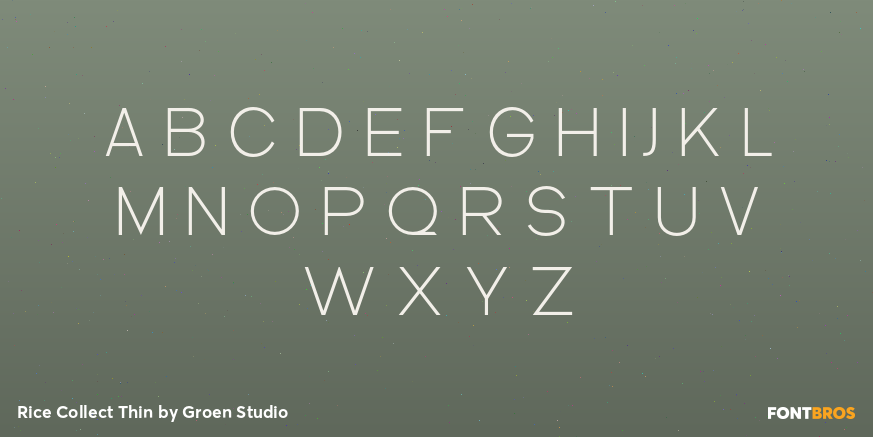 Rice Collect Thin Font Poster #2