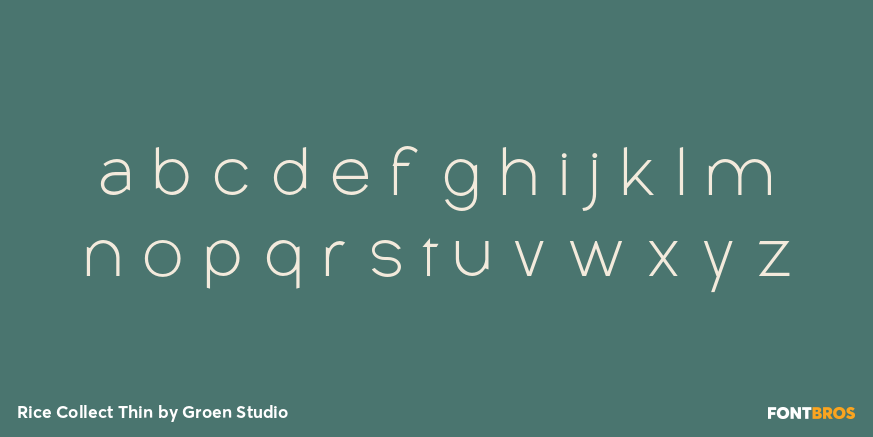 Rice Collect Thin Font Poster #3