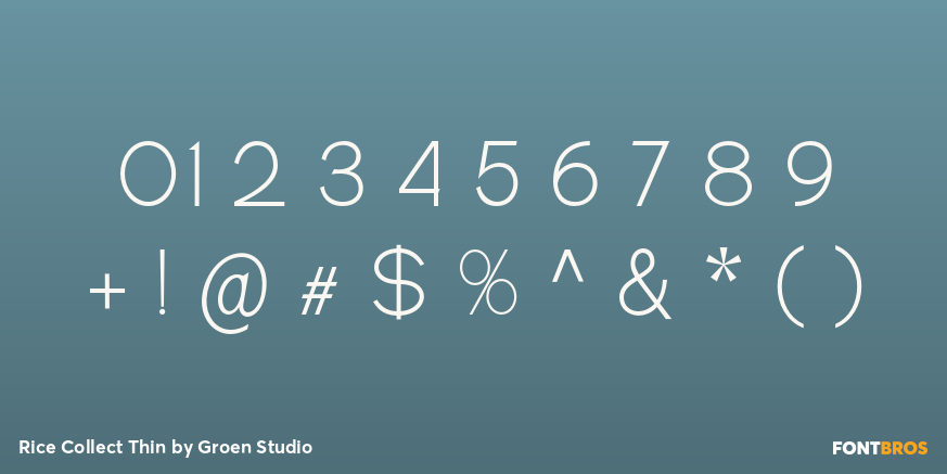 Rice Collect Thin Font Poster #4