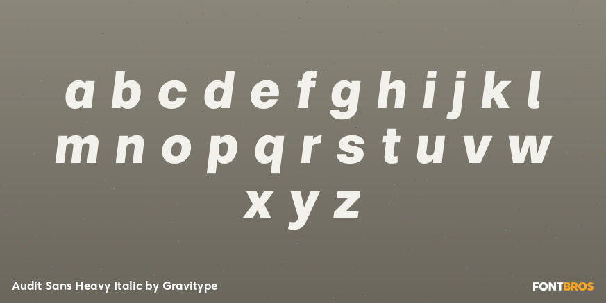 Audit Sans Heavy Italic Font Poster #3