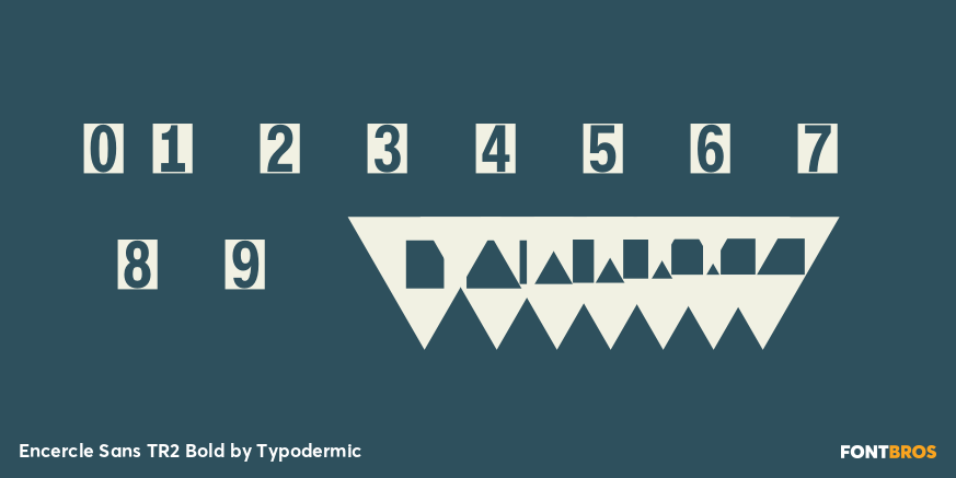 Encercle Sans TR2 Bold Font Poster #1