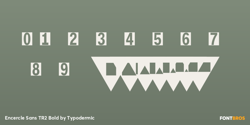 Encercle Sans TR2 Bold Font Poster #4