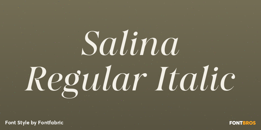 Salina Regular Italic Poster