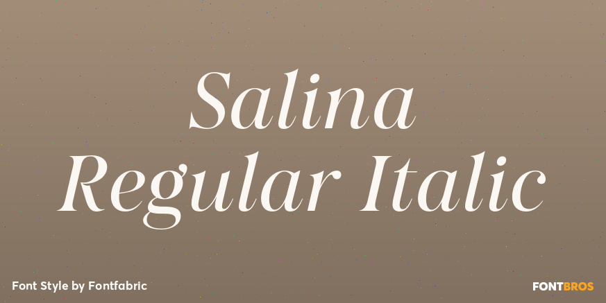 Salina Regular Italic Poster