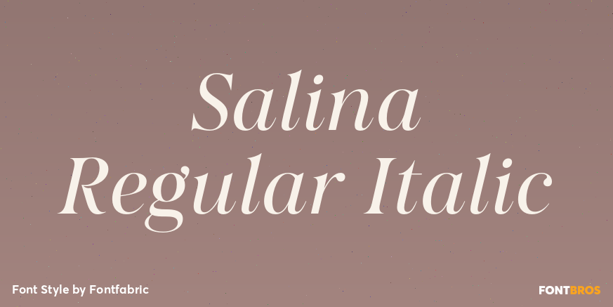Salina Regular Italic Poster