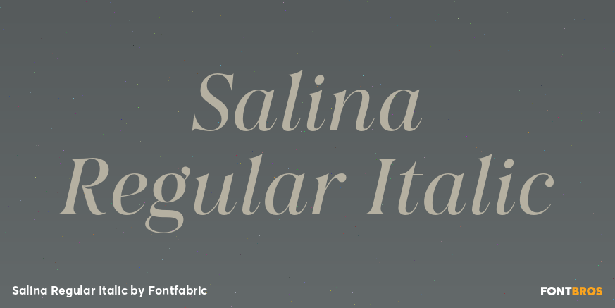 Salina Regular Italic Poster