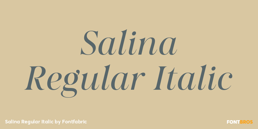 Salina Regular Italic Poster