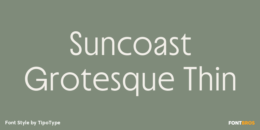 Suncoast Grotesque Thin Font Poster #1