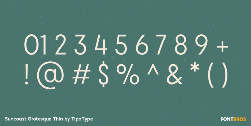 Suncoast Grotesque Thin Font Poster #4