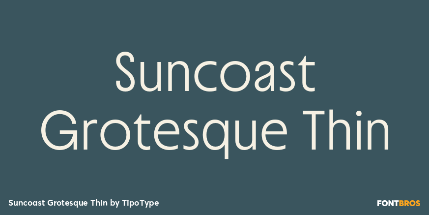 Suncoast Grotesque Thin Font Poster #1