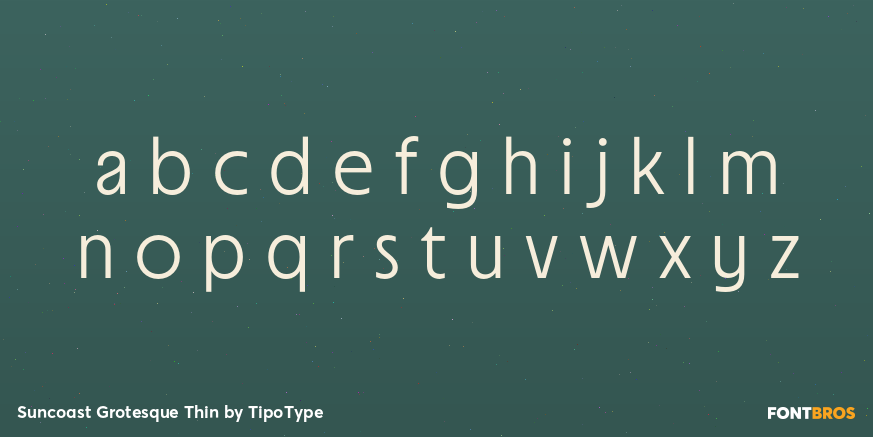Suncoast Grotesque Thin Font Poster #3