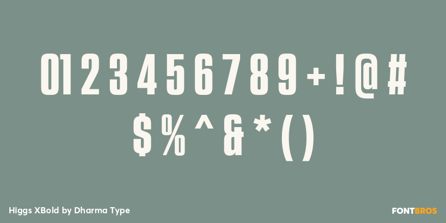 Higgs XBold Font Poster #4