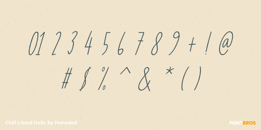 Chill Lizard Italic Font Poster #4