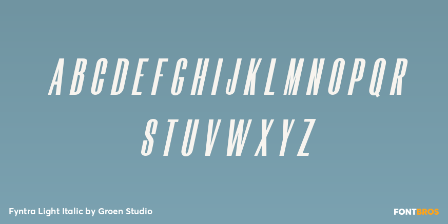Fyntra Light Italic Font Poster #2