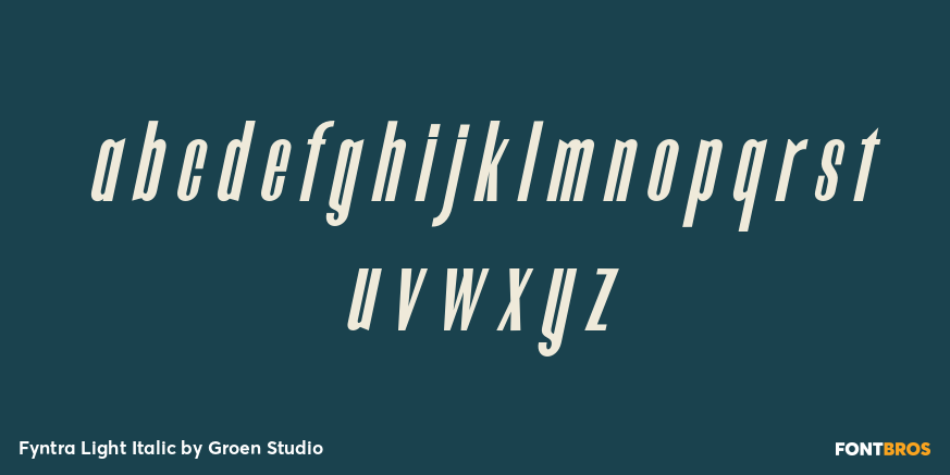 Fyntra Light Italic Font Poster #3