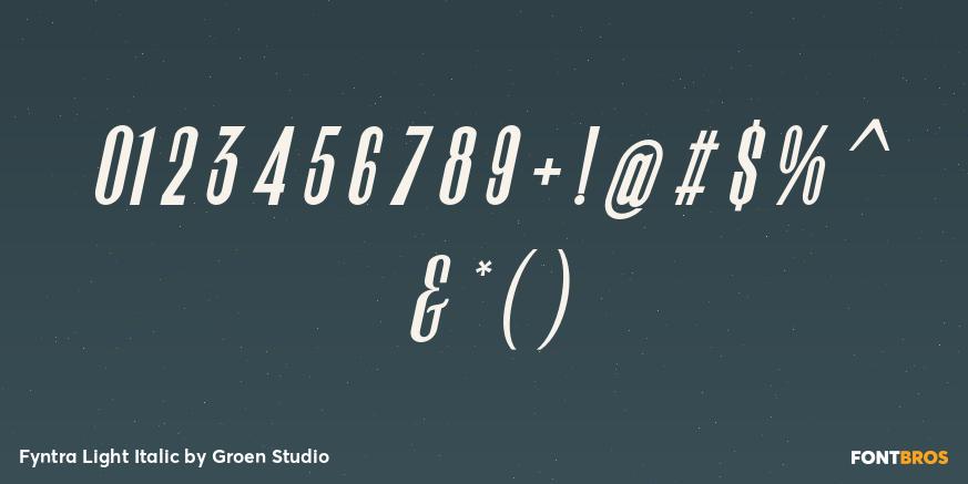 Fyntra Light Italic Font Poster #4