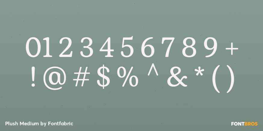 Plush Medium Font Poster #4