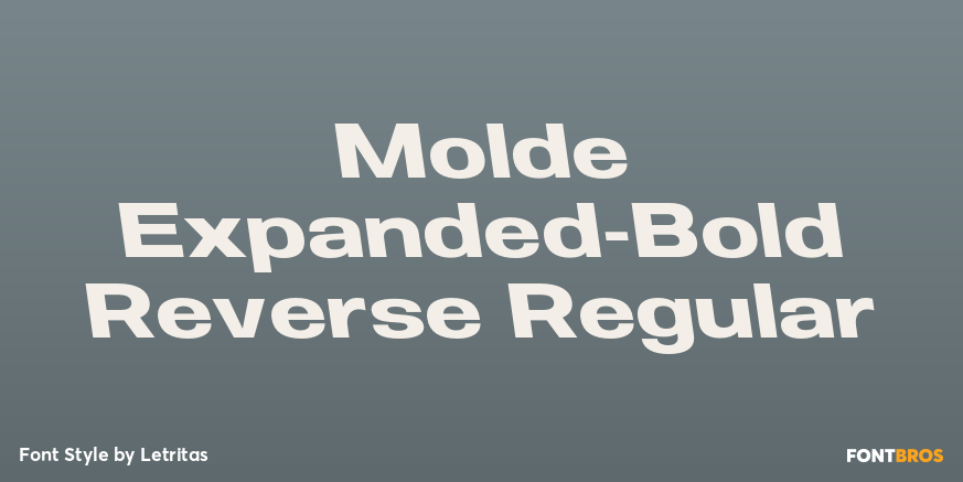Molde Expanded-Bold Reverse Regular Font Poster #1
