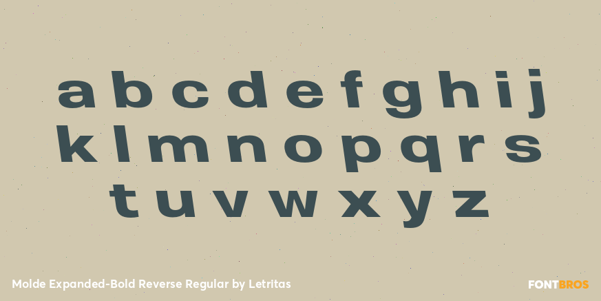 Molde Expanded-Bold Reverse Regular Font Poster #3