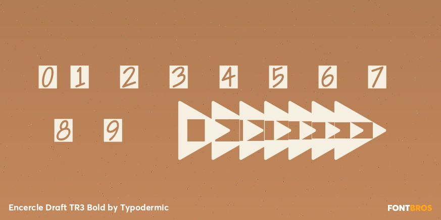 Encercle Draft TR3 Bold Font Poster #1