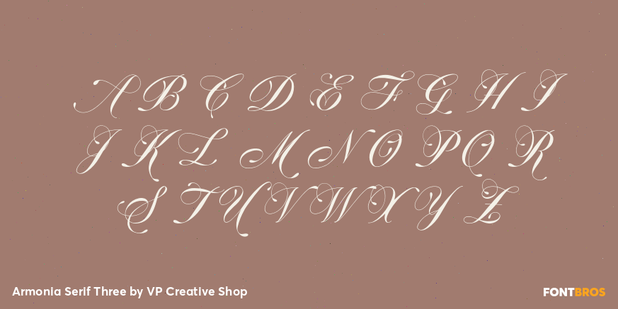 Armonia Serif Three Font Poster #2