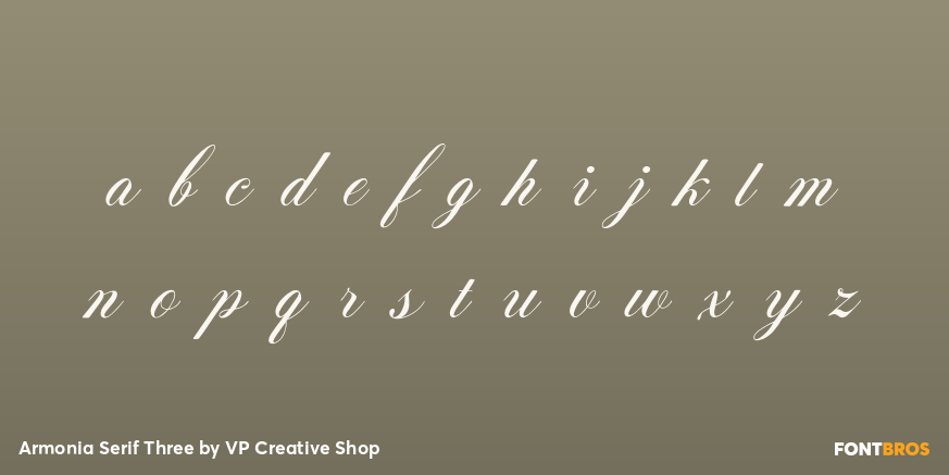 Armonia Serif Three Font Poster #3