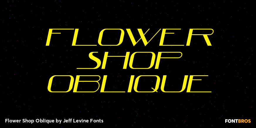 Flower Shop Oblique Poster