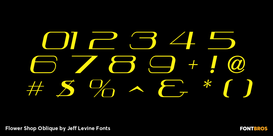 Flower Shop Oblique Font Poster #4