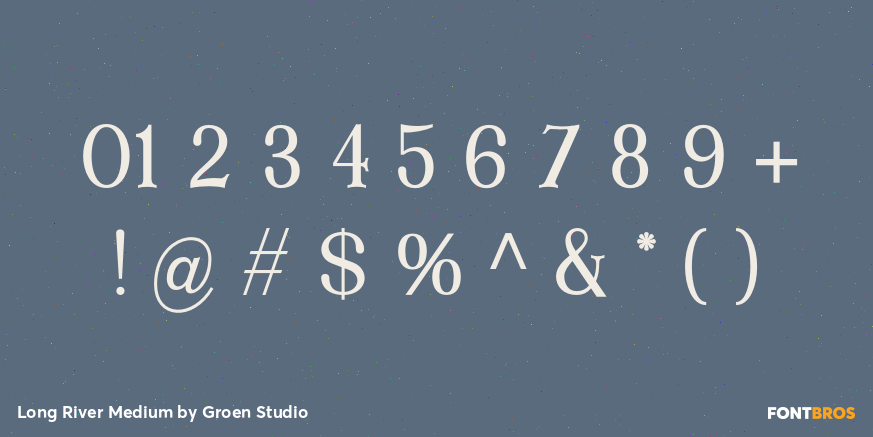 Long River Medium Font Poster #4