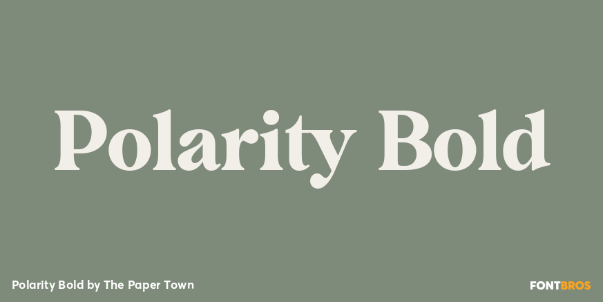 Polarity Bold Poster
