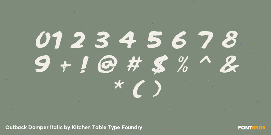 Outback Damper Italic Font Poster #4