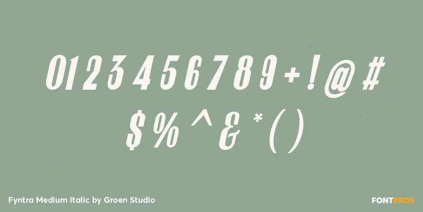Fyntra Medium Italic Font Poster #4