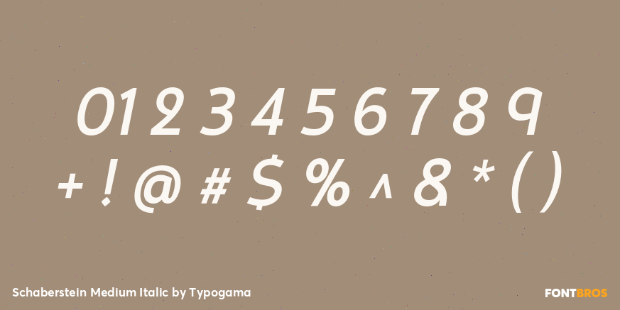 Schaberstein Medium Italic Font Poster #4