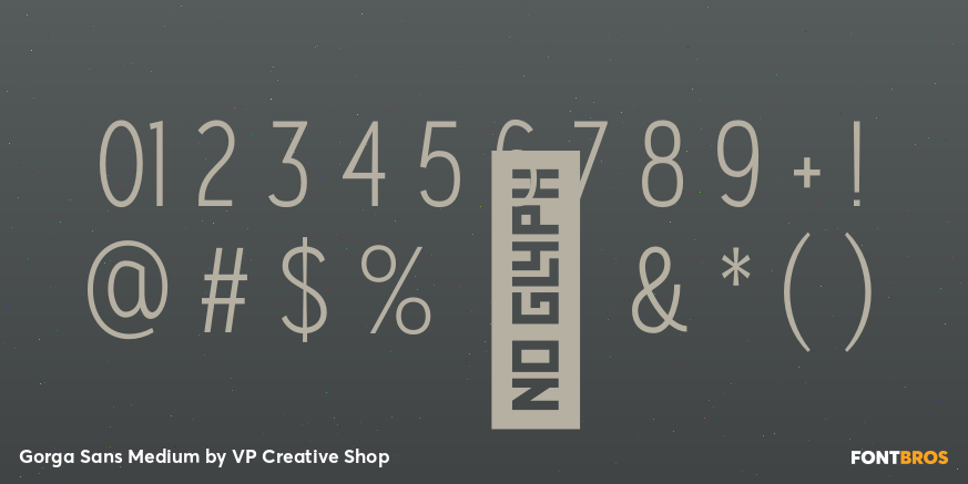 Gorga Sans Medium Font Poster #4