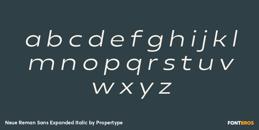Neue Reman Sans Expanded Italic Font Poster #3