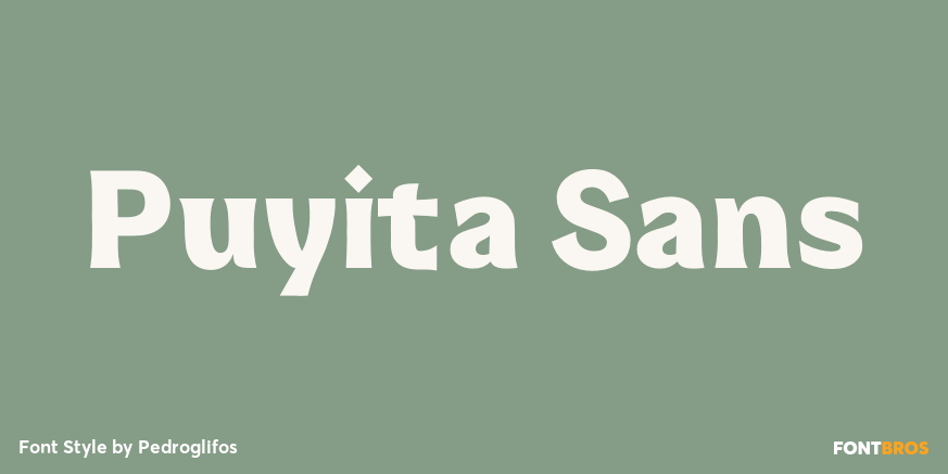 Puyita Sans Poster