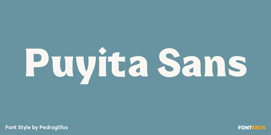 Puyita Sans Poster