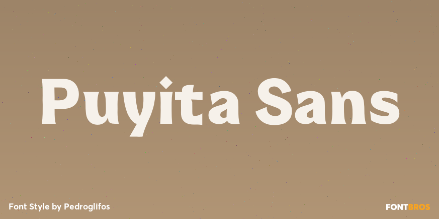 Puyita Sans Poster