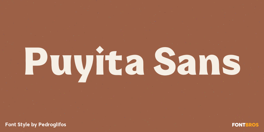 Puyita Sans Poster