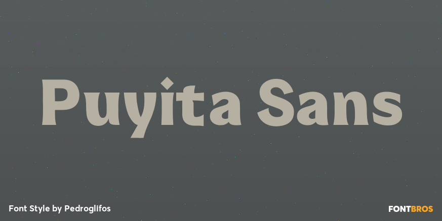 Puyita Sans Poster