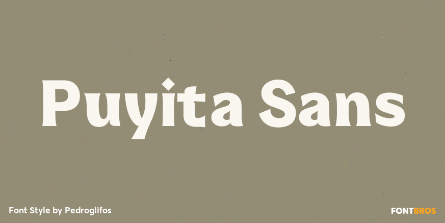 Puyita Sans Poster