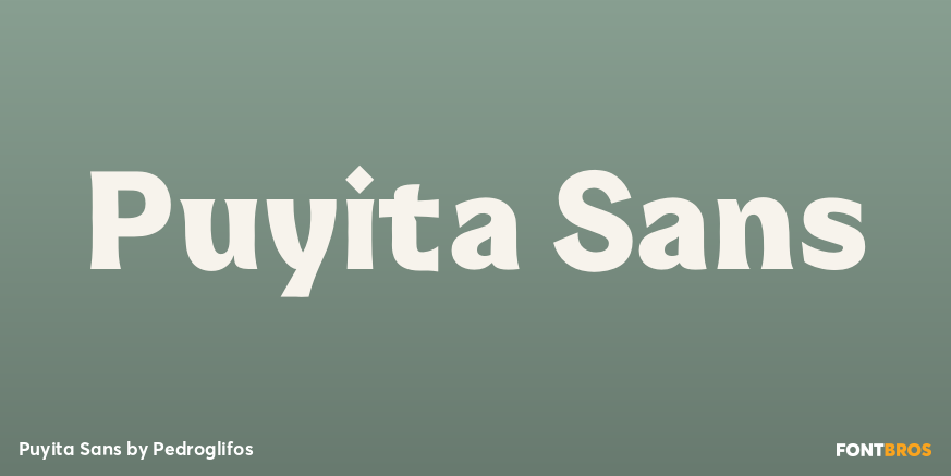 Puyita Sans Poster