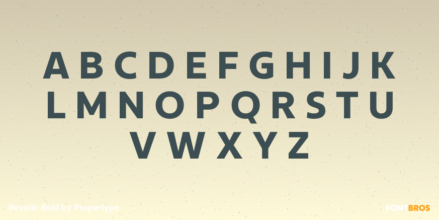 Revolin Bold Font Poster #2
