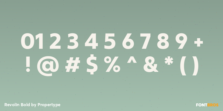 Revolin Bold Font Poster #4