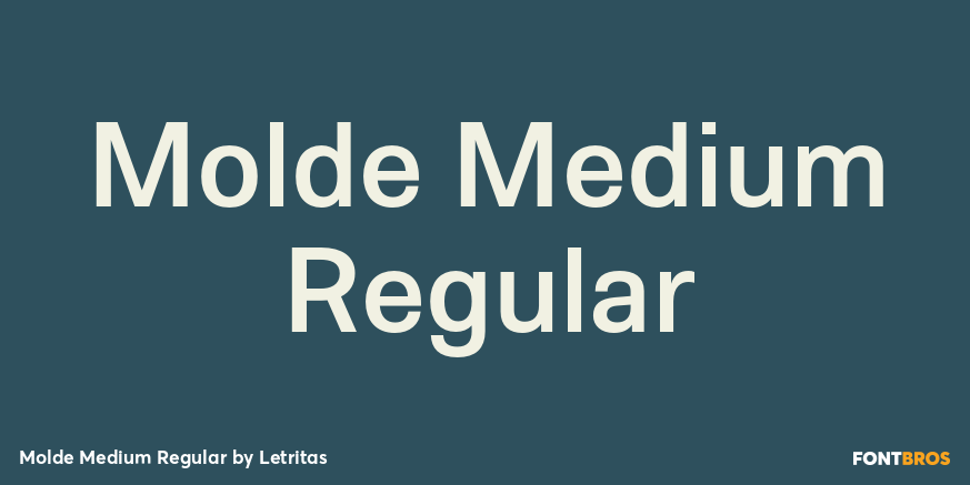 Molde Medium Regular Font Poster #1