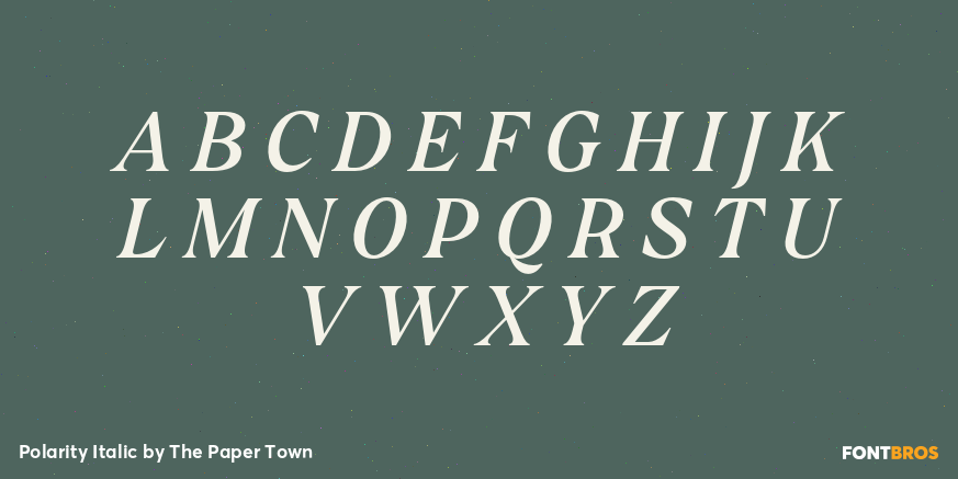 Polarity Italic Font Poster #2