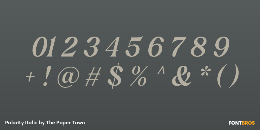 Polarity Italic Font Poster #4