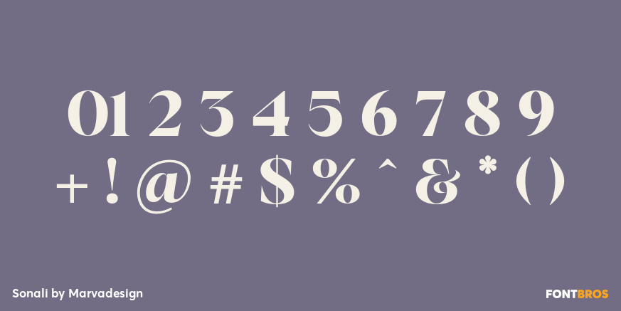 Sonali Font Poster #1