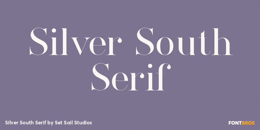 Silver South Serif Font Poster #1